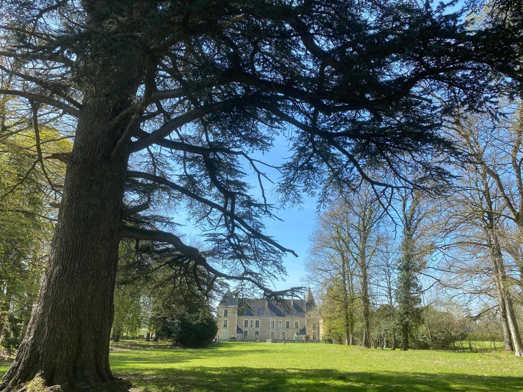 Château Des Feugerets * Belleme